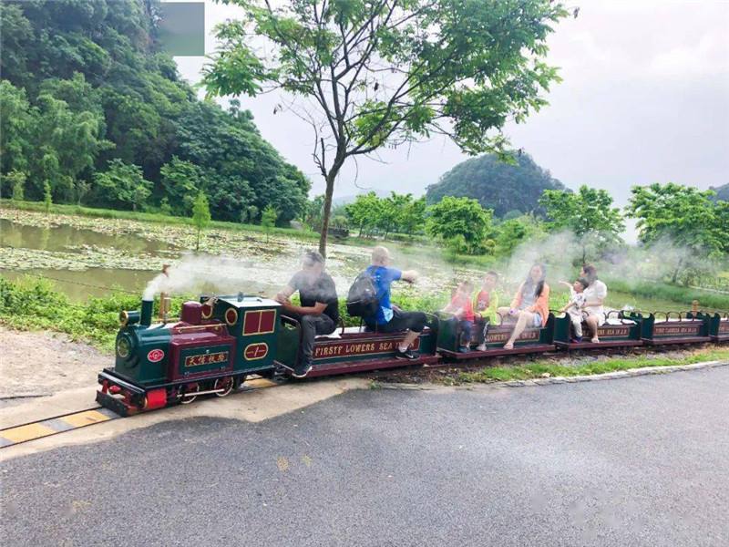 田園鄉(xiāng)村觀光小火車造價多少錢？